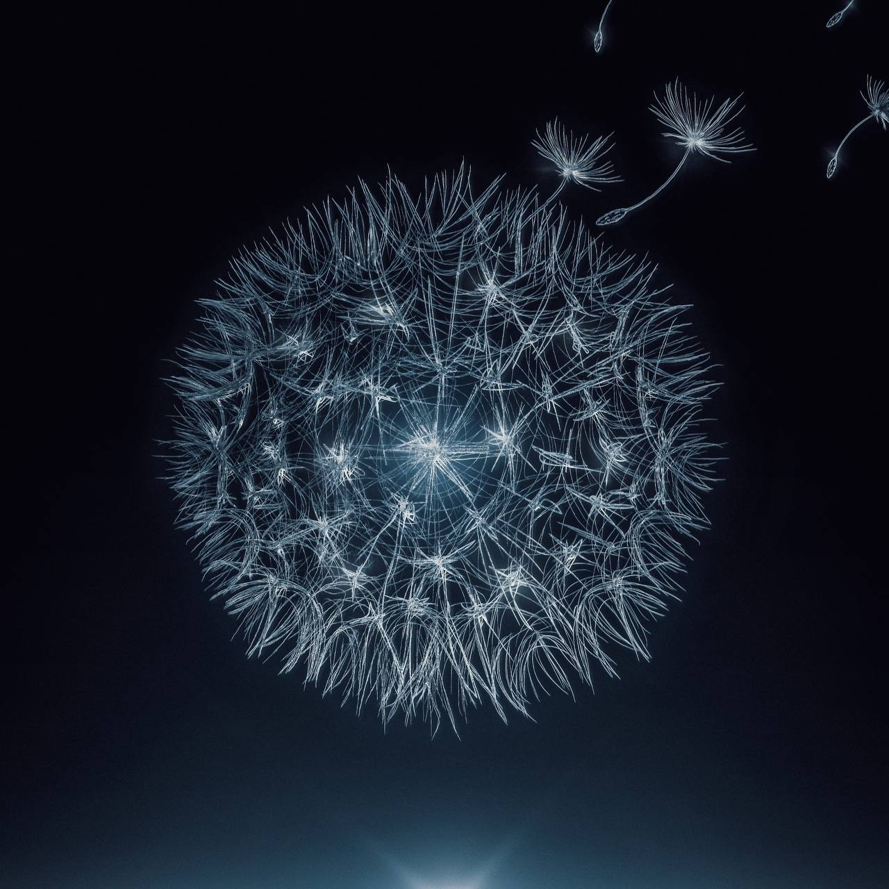 عرفان خاکی - قاصدک